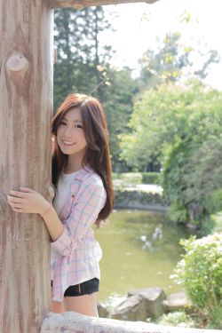 《南帝北丐》在线观看