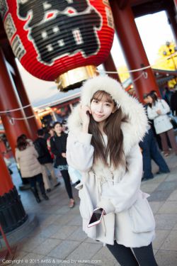 《金花瓶楷梅花2》